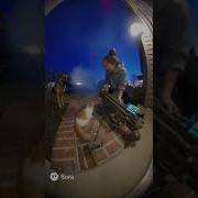 CAT CAUGHT ON VIDEO SHOOTING ROCKET LAUNCHER NUKE 67
