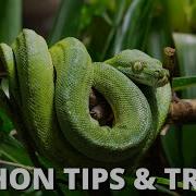 20 Python Tips And Tricks Why We Love Python