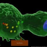 3D Surface Rendering With Texture And Transparency Features Tutorial