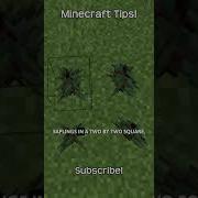 How To Grow A Big Spruce Tree In Minecraft