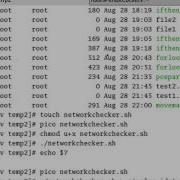 LCBT BASH 022 Network Checker