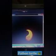 Python Turtle Python Programming Code Codewithharry Coding Viral Trending Code Python