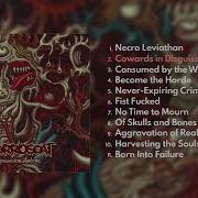 Surrogoat Consumed By The Wrath Of Time Full Album