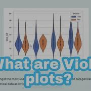 What Are Violin Plots