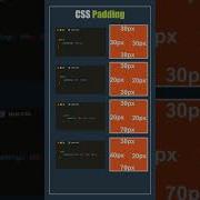 CSS Padding Tricks Css Coding Shorts