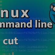 LCL 31 Cut Linux Command Line Tutorial For Forensics