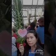 14April2019 Celebrating Palm Sunday