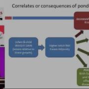 Long Term Consequences Of Early Child Feeding And Growth Patterns