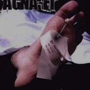 Fall From Grace By Magna Fi