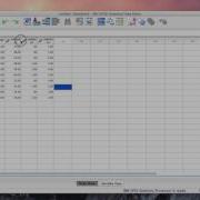 Introducing The SPSS Data Editor And Entering Data