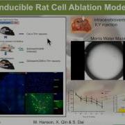 E Bryda A Cross Species Novel Genetic Cell Ablation Technology Involving CD59 And Intermedilysin