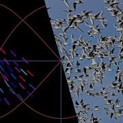 Animating Bird Swarms With Desmos Equations Boids