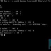 Linux Bash For Loops For Everyday