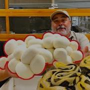 GIANT Python Almost Strikes Me During This Egg Pull