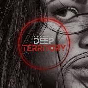 Housenick Try To Understand Nando Fortunato Remix Deep House 2024
