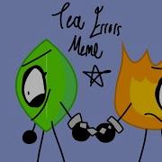Tea Errors Meme BFB FIREY LEAFY AND COINY