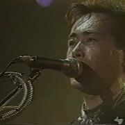 P MODEL LEAK LIVE 1988
