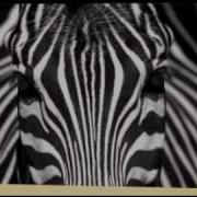 Patterns Are Everywhere
