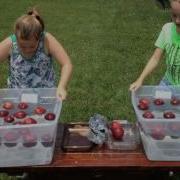 Bobbing For Apples Challenge Part 1