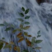 Sevgi Denizi Sea Of Love 4K
