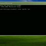Setting Java Home And Jdk