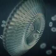 Element 3D Animation Test