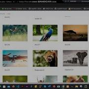 React Web App Photo Gallery