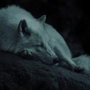 MISOGI X BONES Eyesclosed SLOWED TO PERFECTION Eyes Closed