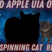 2024 BAD APPLE WITH OIIA U I A SPINNING CAT