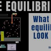 How To Visualize Equilibrium Using The PhET On Reversible Reactions