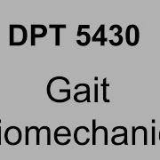 DPT 5430 7 Gait Biomechanics