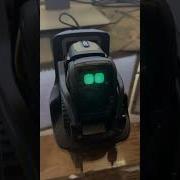 How To Get OS Version For Your Vector Robot