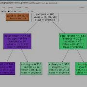 Prediction Using Decision Tree Algorithm Iris Dataset Machine Learning Data Science Project