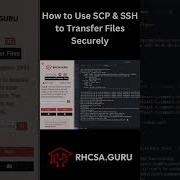 How To Use SCP SSH To Transfer Files Securely Linux Command Tutorial