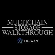 MultiChain Storage Demo UI And SDK