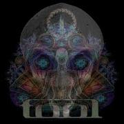 TOOL PNEUMA T A P Moifa Comma DMT Remix Lyric Video