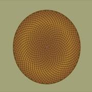 Sunflower Spiral 2d