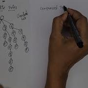 Suffix Tries In Data Structures Learn DS Fast