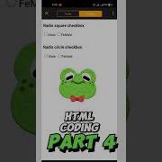 How To Create Html Radio Button Html Radio Check Box Html Radio Circle Button