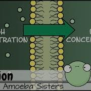 Diffusion