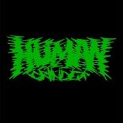 Oh Fucking Grave