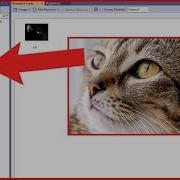 Visual Studio How To Add Image To Resources Visual Studio 2022 How To Add Image To Resources