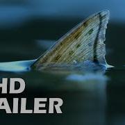 RAINDROP Kino Trailer 2025