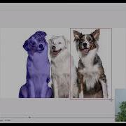 Annotate Images Like A Pro Python Image Annotation Tool Walkthrough
