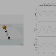 Spring Loaded Inverted Pendulum