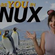 Системное программирование в Linux PID UID функция Fork и системные вызовы объяснение на п