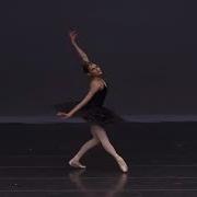 Ballet Dance Reference