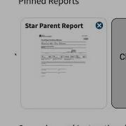 Creating Reports In STAR