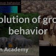 Evolution Of Group Behavior Mechanisms Of Evolution High School Biology Khan Academy