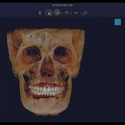 How To Import Jaw Motion Files Into RAYFace